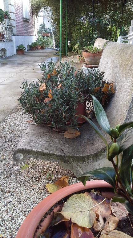 Villa Maria Bed & Breakfast, Corridonia, Marche المظهر الخارجي الصورة