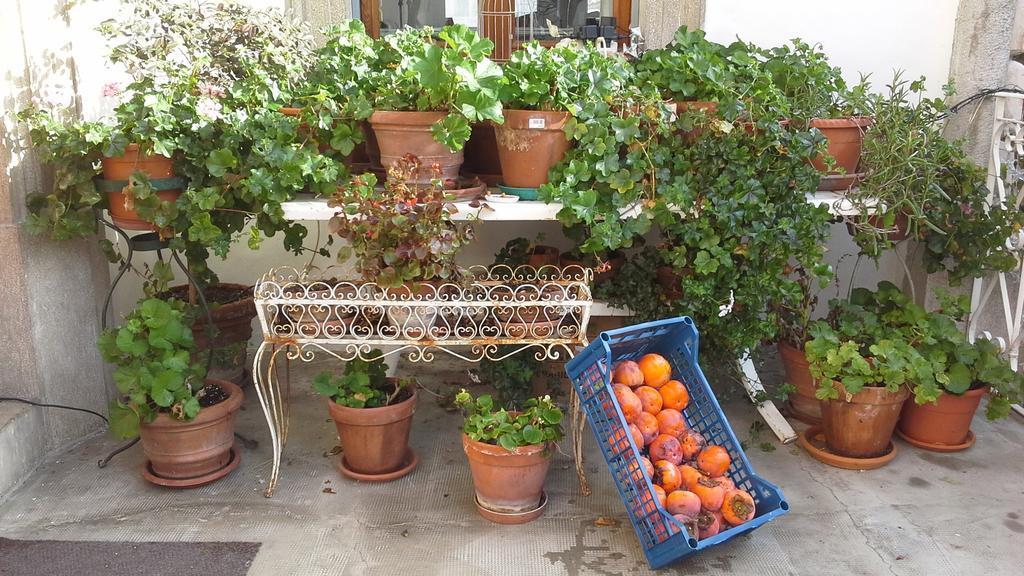 Villa Maria Bed & Breakfast, Corridonia, Marche المظهر الخارجي الصورة